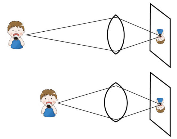 空間知覚の重要な要素は何ですか?, 空間知覚 認知機能 – LDDDM